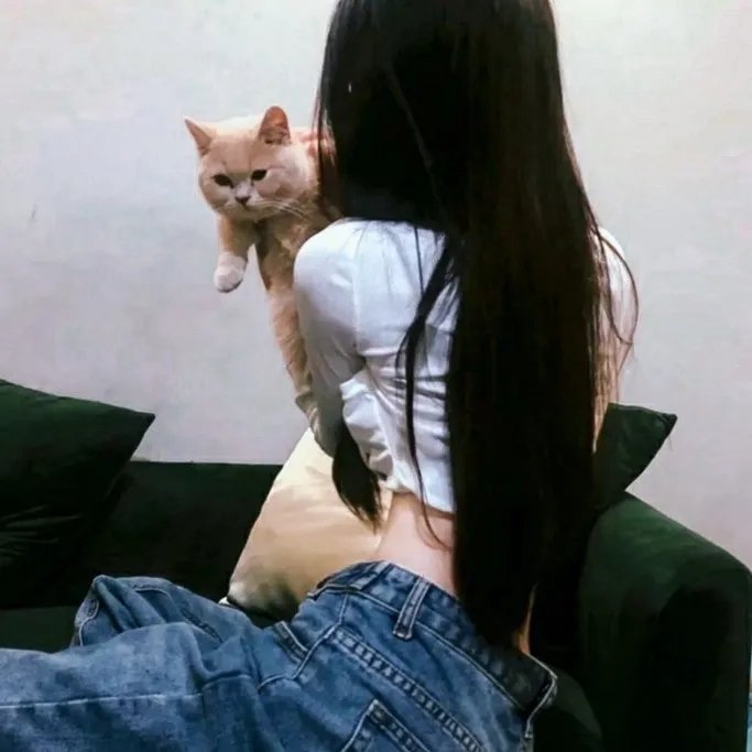 傲慢与偏见与僵尸
